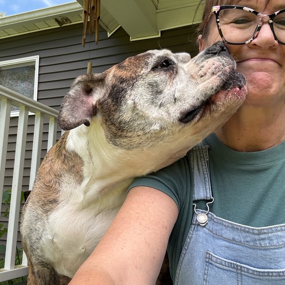 Ally is Live 🚫Do Not Buy This Listing 🚫 Follow this flyer for notification. 💕🍀🐾 - Picture 12 of 13